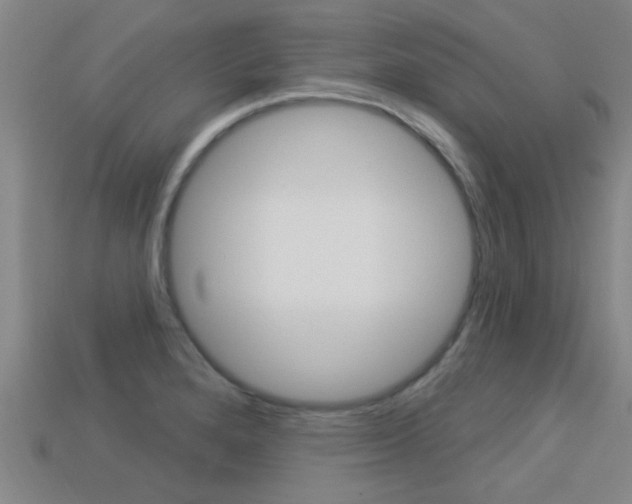 X0000113301280200909140938