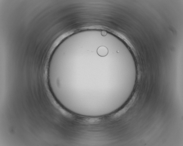 X0000113301282200909140938