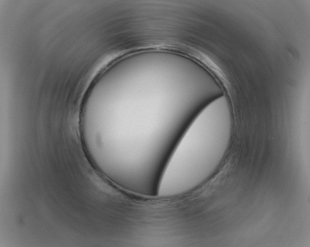 X0000113301283200909140938