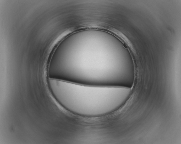 X0000113301285200909140938