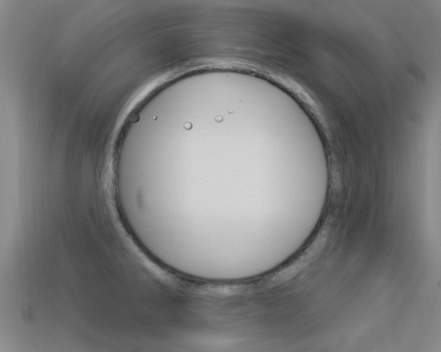 X0000113301286200909140938