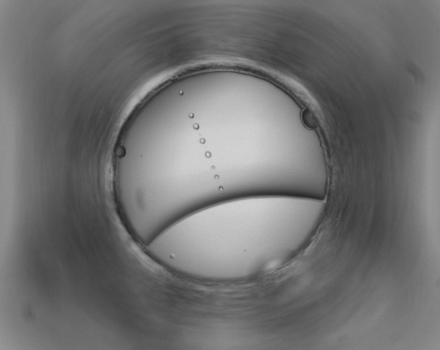 X0000113301287200909140938