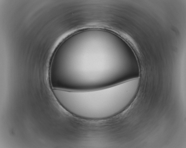 X0000113301288200909140938