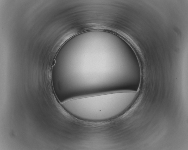 X0000113301289200909140938