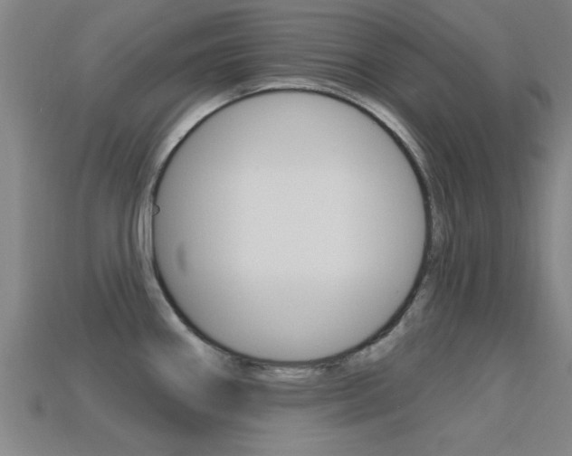 X0000113301290200909140938