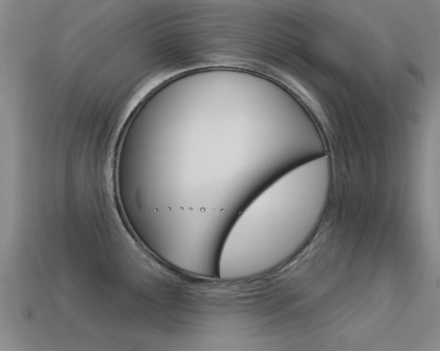 X0000113301291200909140938