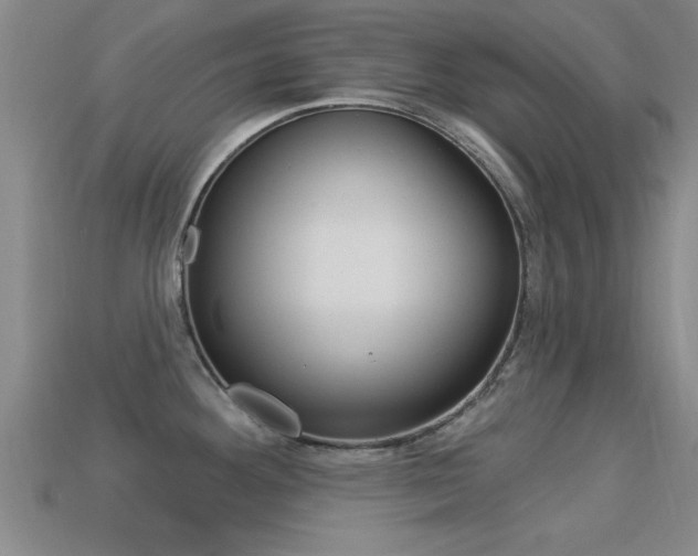 X0000113301292200909140938