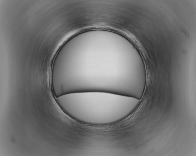 X0000113301295200909140937