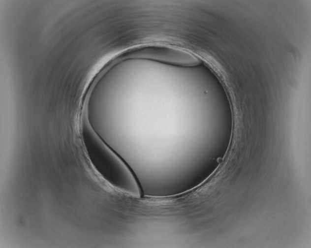 X0000113301296200909140937