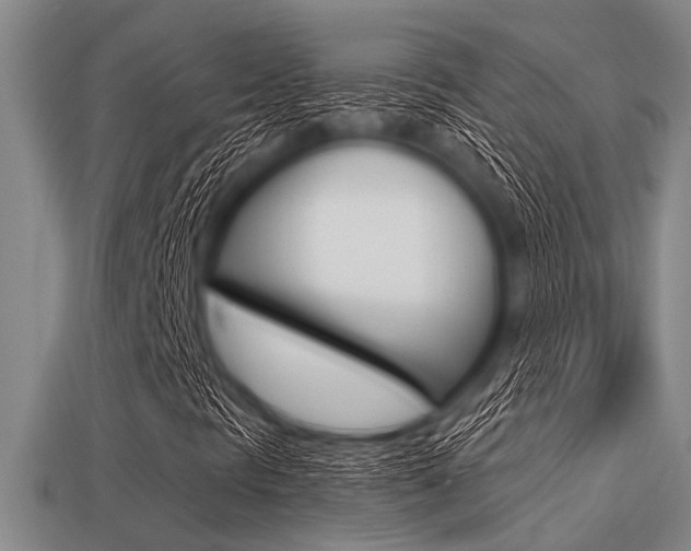 X0000113301297200909140937