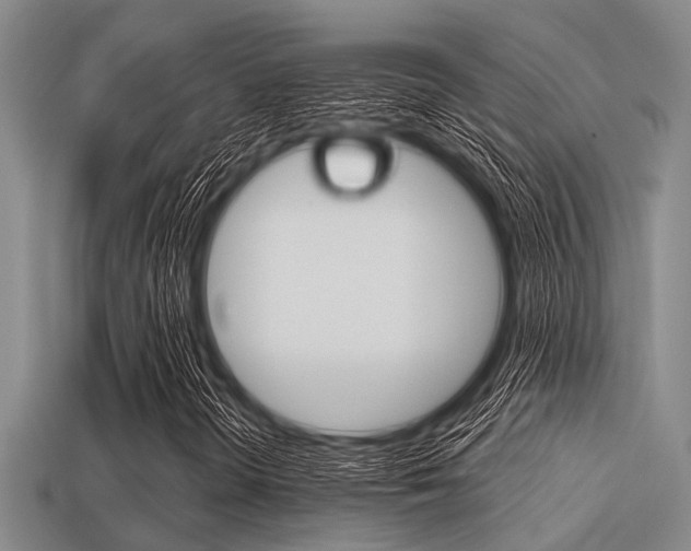 X0000113301298200909140937