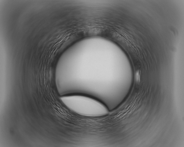 X0000113301299200909140937