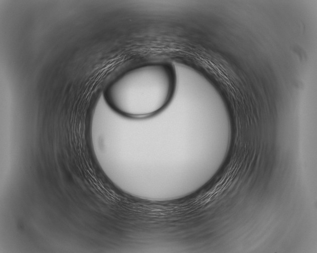 X0000113301300200909140937