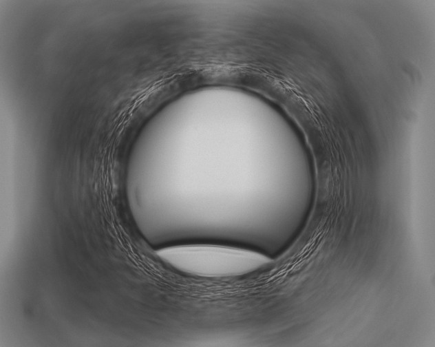 X0000113301301200909140937
