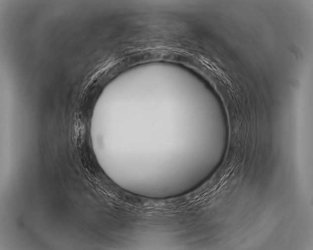 X0000113301302200909140937