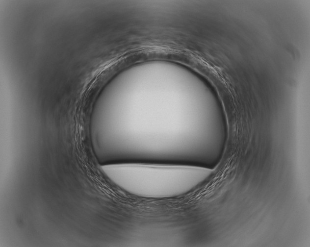 X0000113301303200909140937
