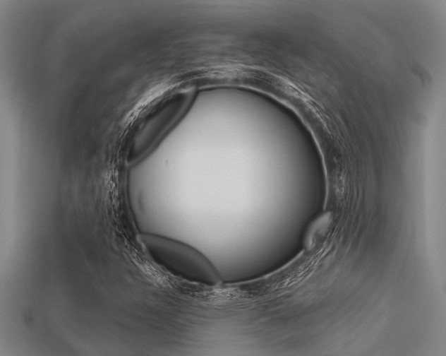 X0000113301304200909140937