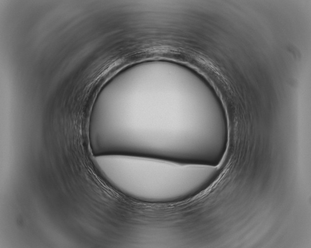 X0000113301305200909140937