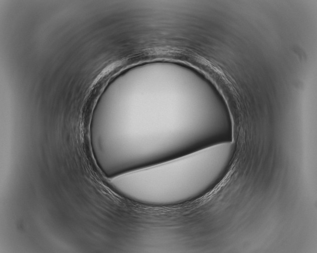 X0000113301306200909140937