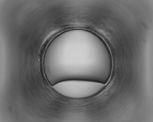 X0000113301307200909140937