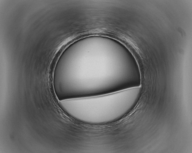 X0000113301308200909140937