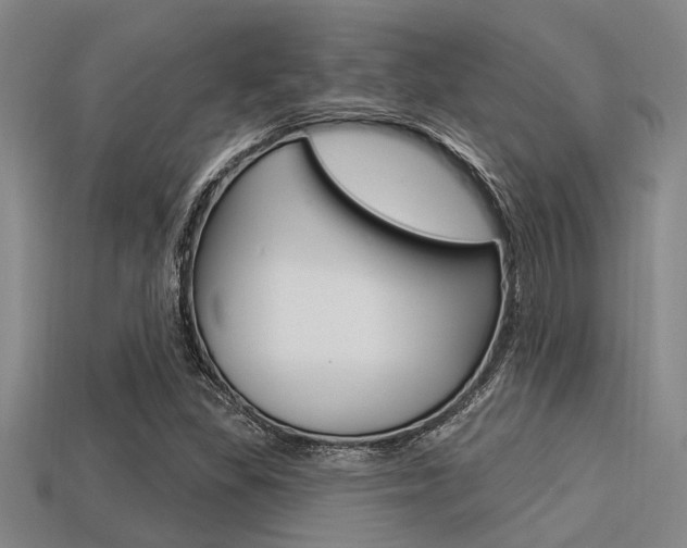 X0000113301309200909140937