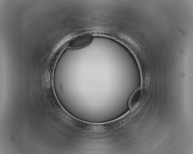 X0000113301310200909140937
