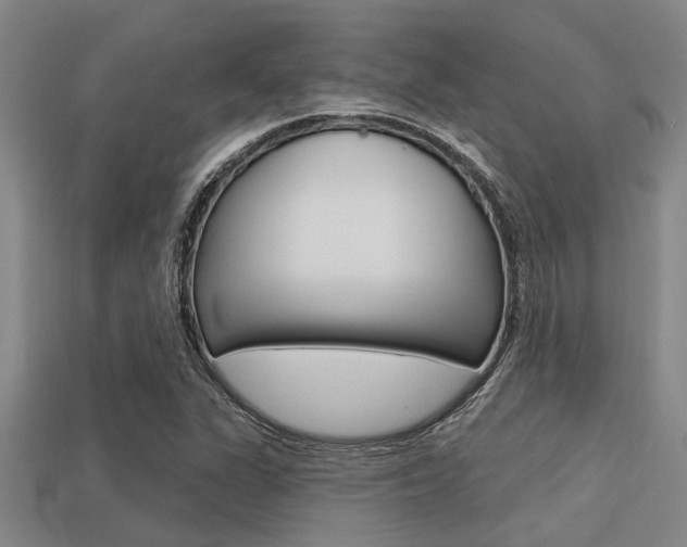 X0000113301311200909140937