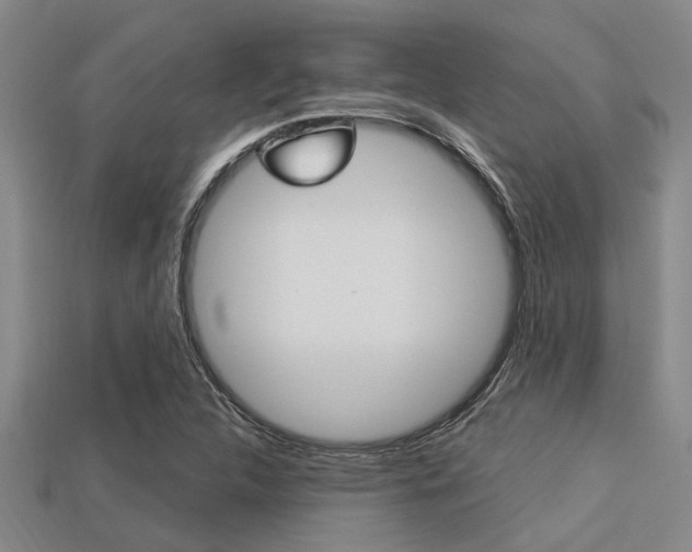 X0000113301312200909140937