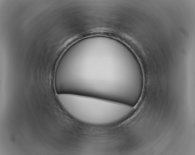 X0000113301313200909140937