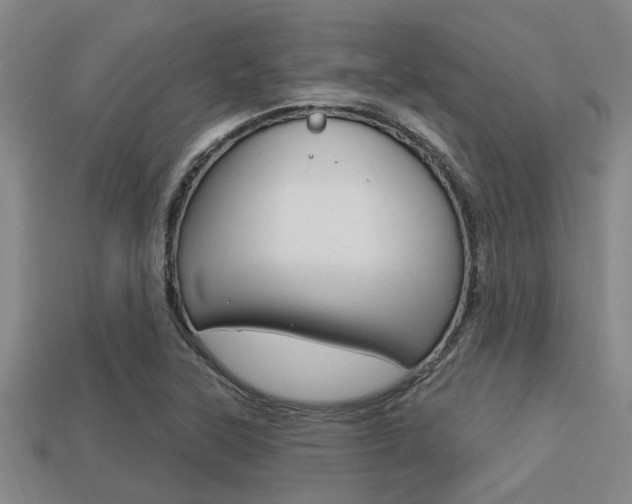 X0000113301315200909140937