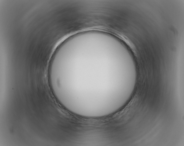 X0000113301316200909140937