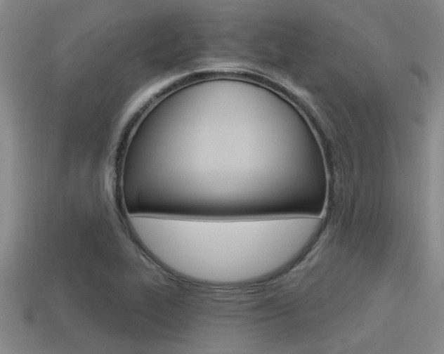 X0000113301319200909140937