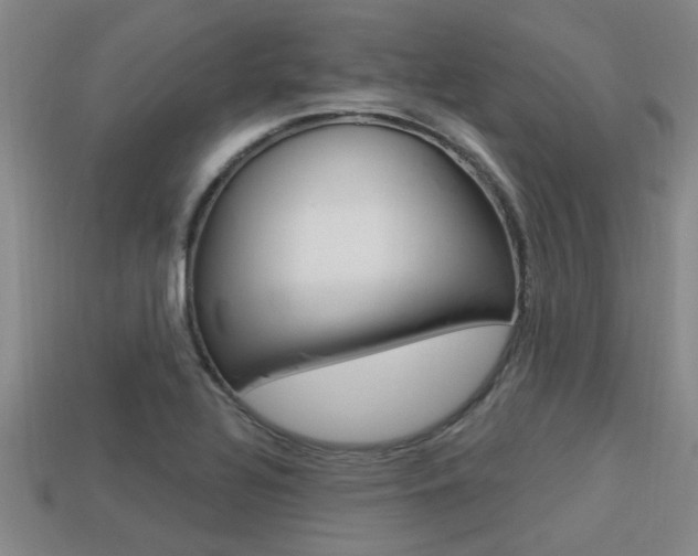 X0000113301320200909140937