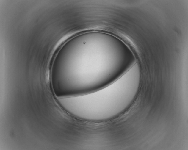 X0000113301324200909140937
