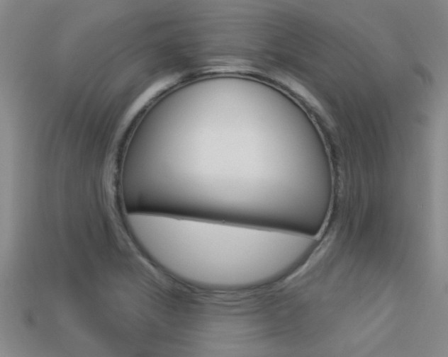 X0000113301325200909140937
