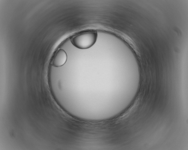 X0000113301326200909140937