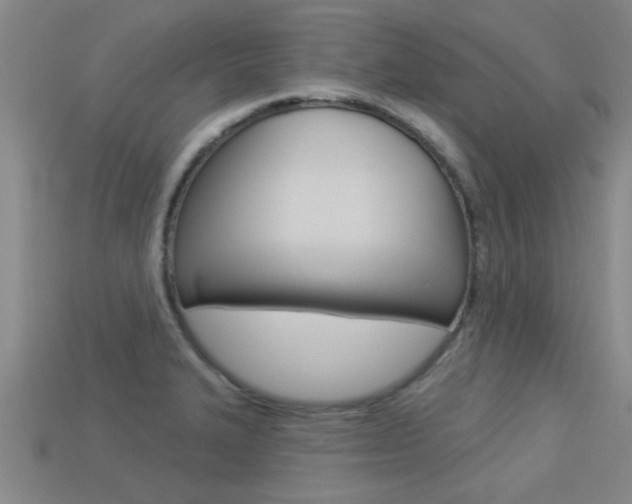 X0000113301327200909140937