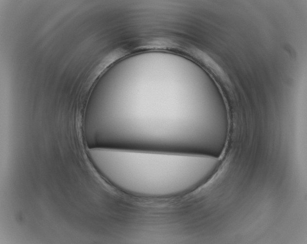X0000113301329200909140937
