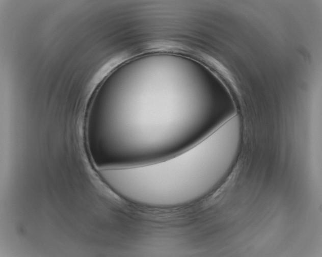 X0000113301330200909140937