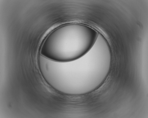 X0000113301332200909140937