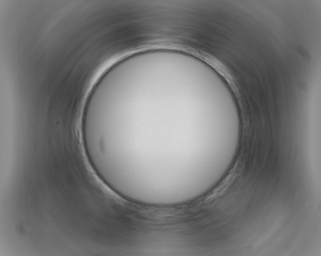 X0000113301334200909140937