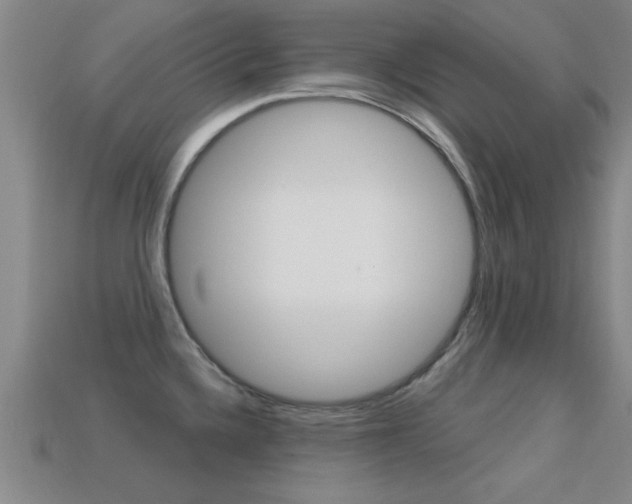 X0000113301336200909140937