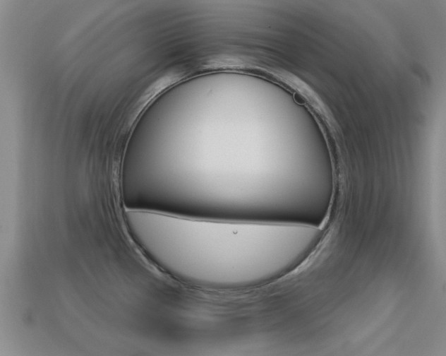 X0000113301337200909140937