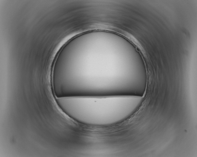 X0000113301339200909140937