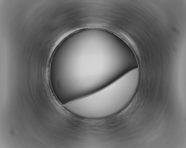 X0000113301340200909140937