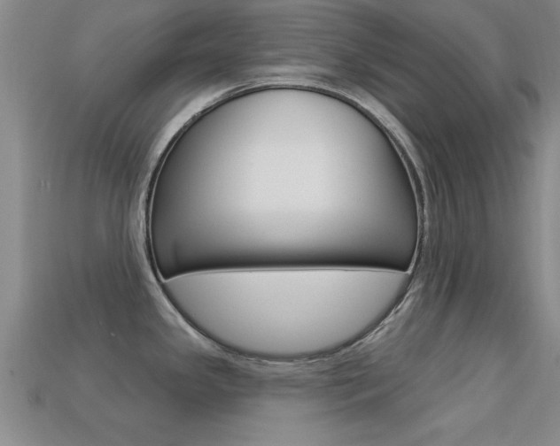 X0000113301341200909140937