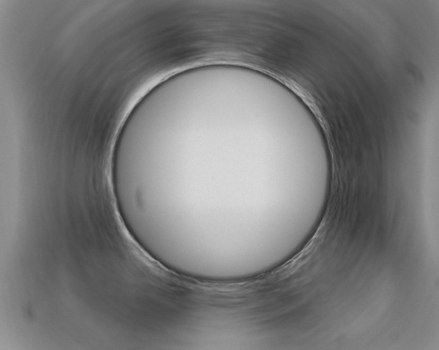 X0000113301342200909140937