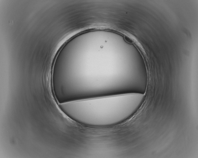 X0000113301343200909140937
