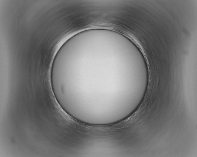 X0000113301344200909140937